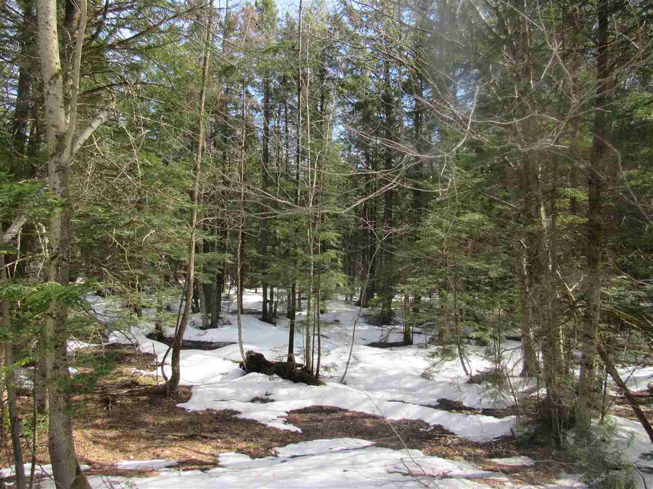 22 Wilderness Road Jay, VT 05859 - Photo 2 of 11 Gallery Image 2