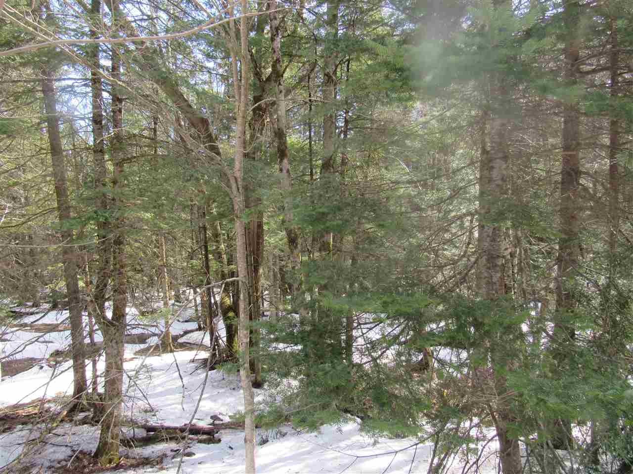 22 Wilderness Road Jay, VT 05859 - Photo 3 of 11 Gallery Image 3