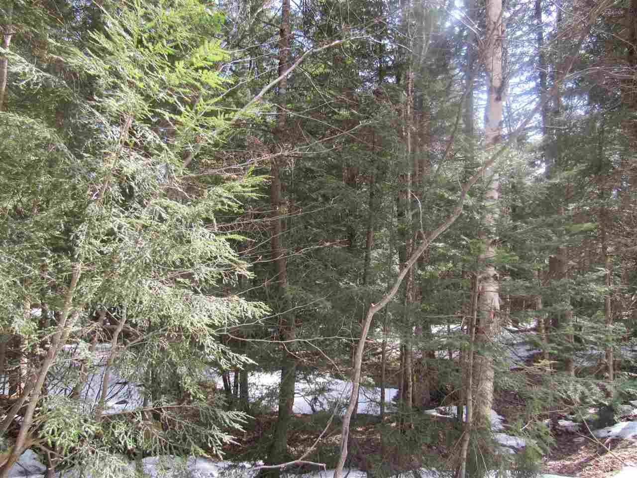 22 Wilderness Road Jay, VT 05859 - Photo 5 of 11 Gallery Image 5