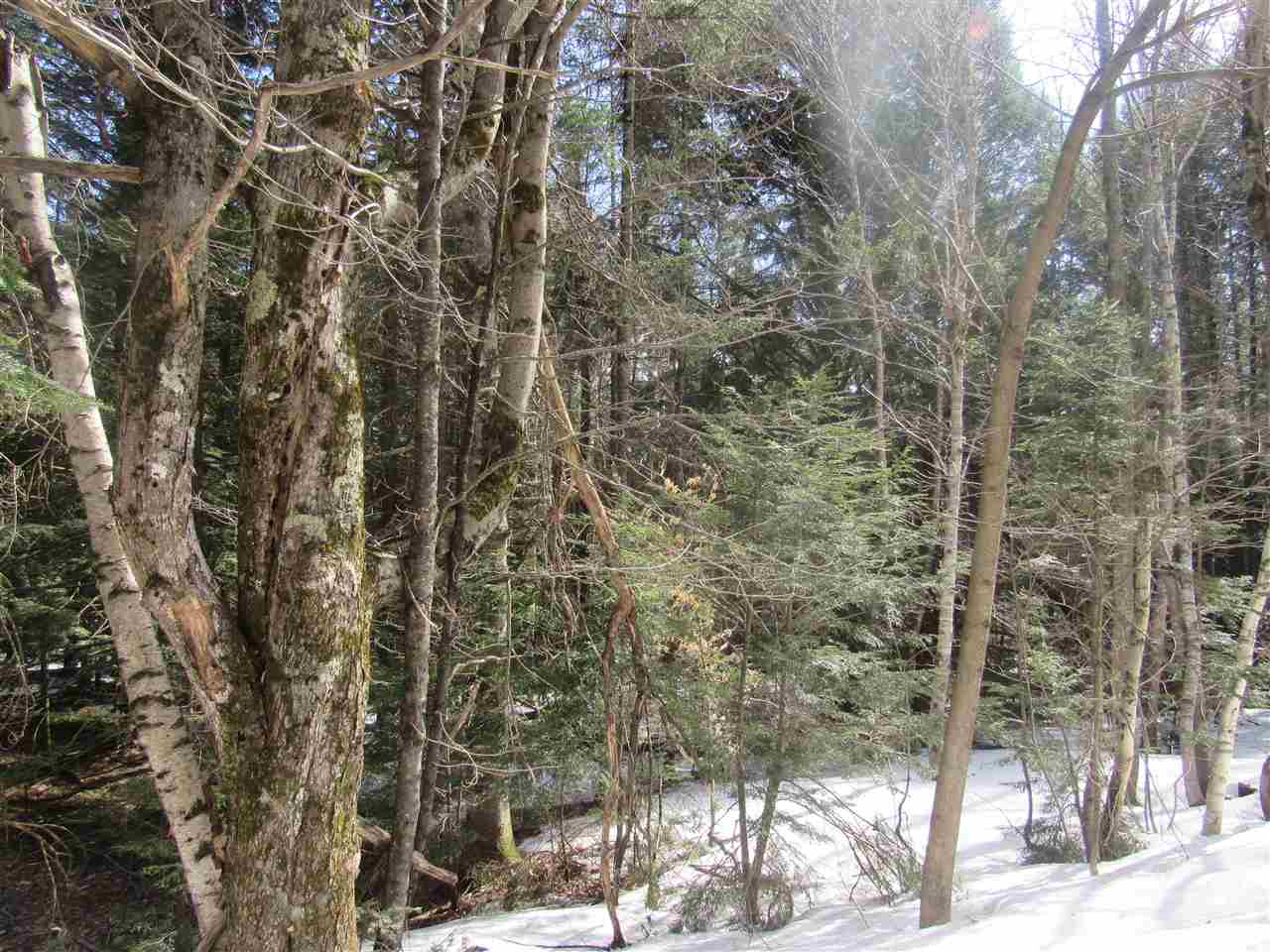 22 Wilderness Road Jay, VT 05859 - Photo 6 of 11 Gallery Image 6