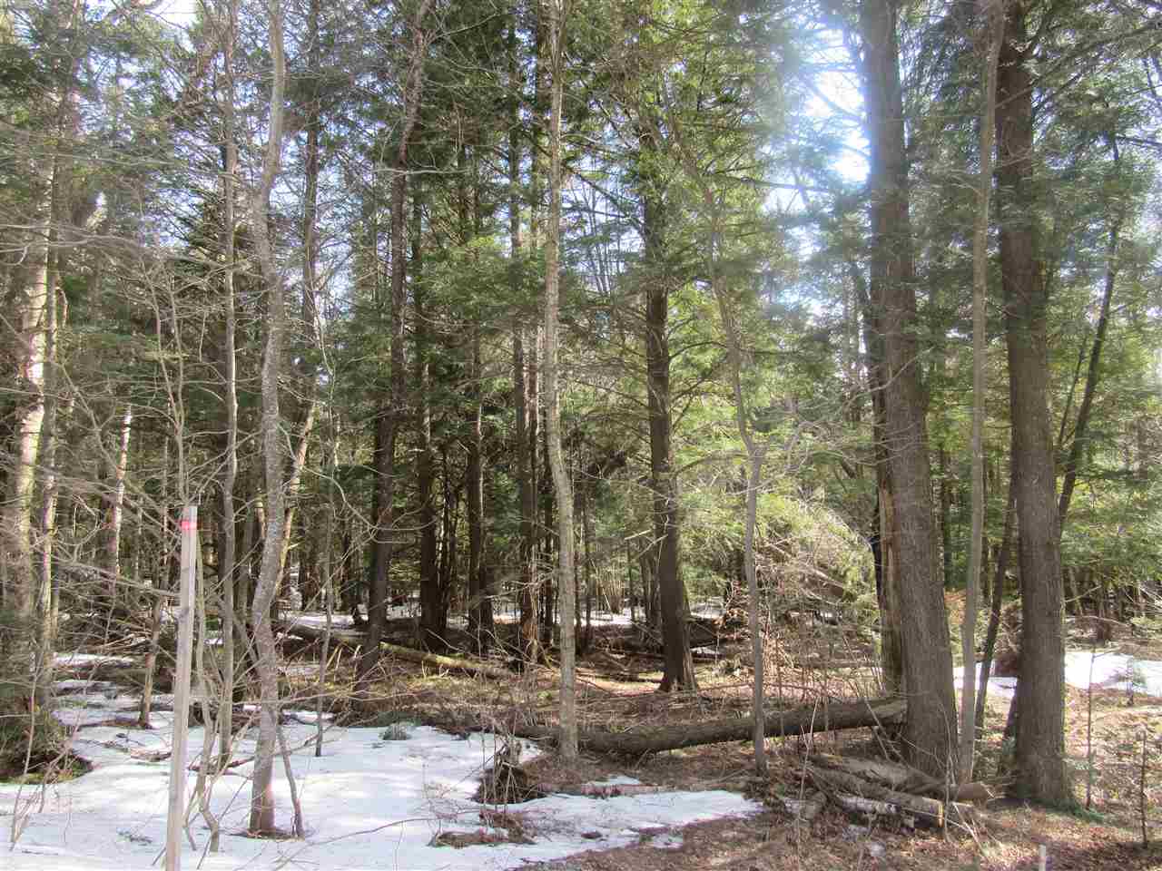 22 Wilderness Road Jay, VT 05859 - Photo 7 of 11 Gallery Image 7