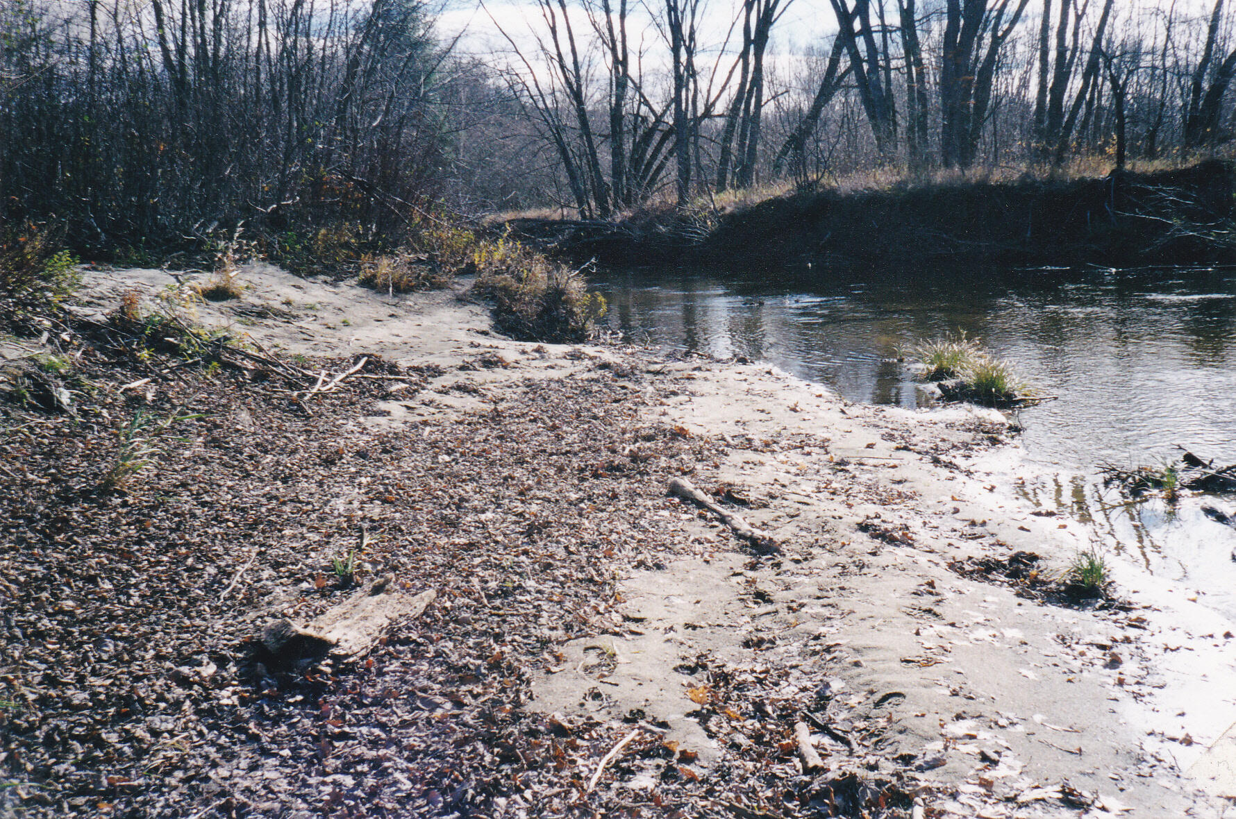 Lot 8 East Andover Road Andover, ME 04216 - Photo 3 of 4 Picture 5