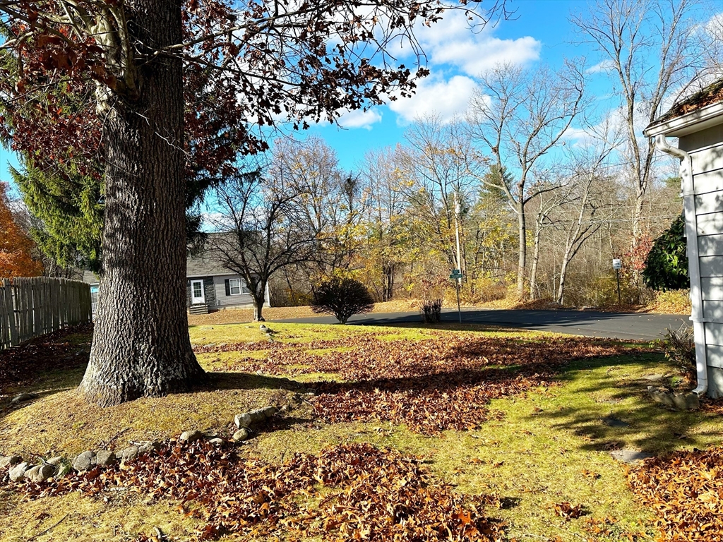 30 Maple Street Hudson, MA 01749 - Photo 8 of 9 a view of a yard with large trees