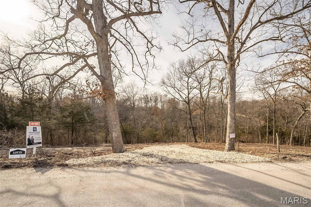 183 Sydnorville Road Troy, MO 63379 - Photo 3 of 7