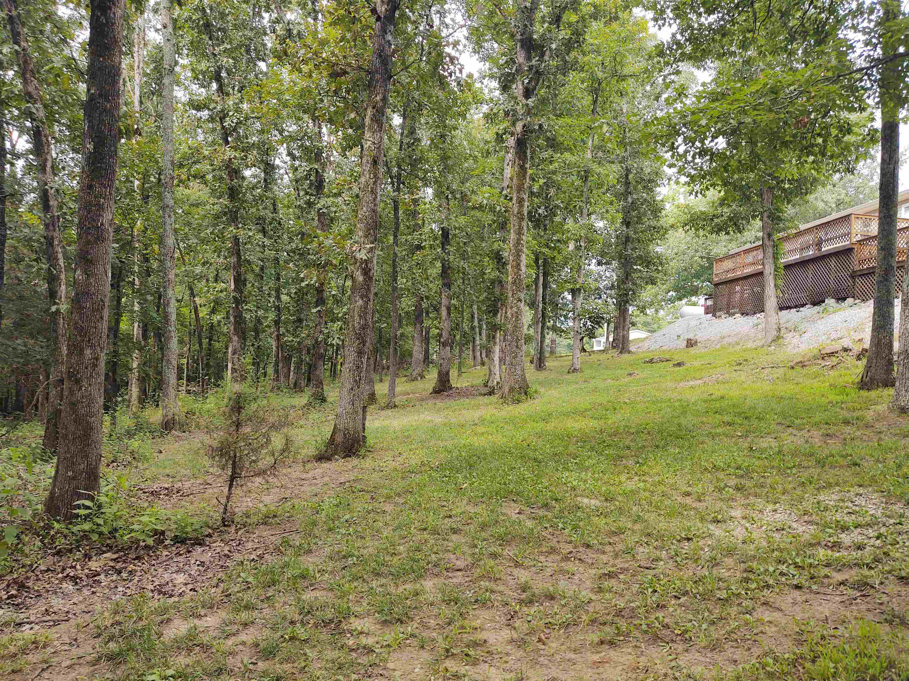1475 Hound Dog Ridge Road Vienna, IL 62995 - Photo 18 of 29 Gallery Image 18