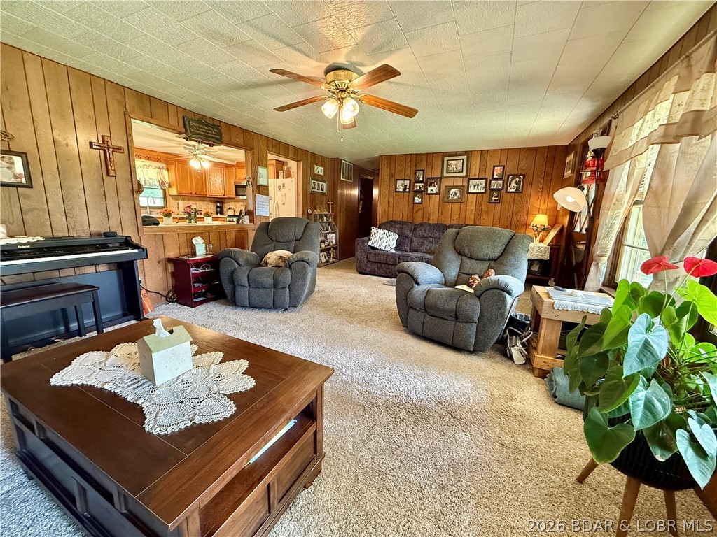 187 County Road Black, MO 63625 - Photo 16 of 50