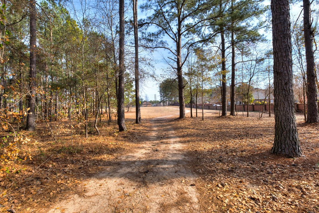 930 Loring Mill Road Sumter, SC 29150 - Photo 4 of 67