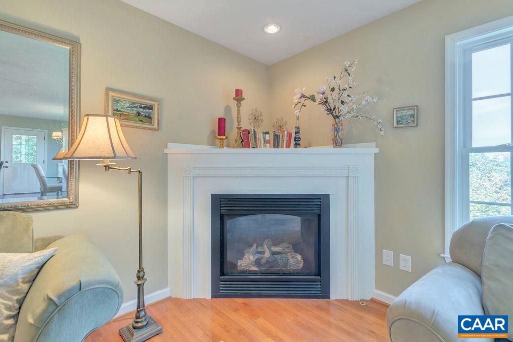 205 Old Stony Ridge Road Afton, VA 22920 - Photo 15 of 70 a living room with furniture and a fireplace