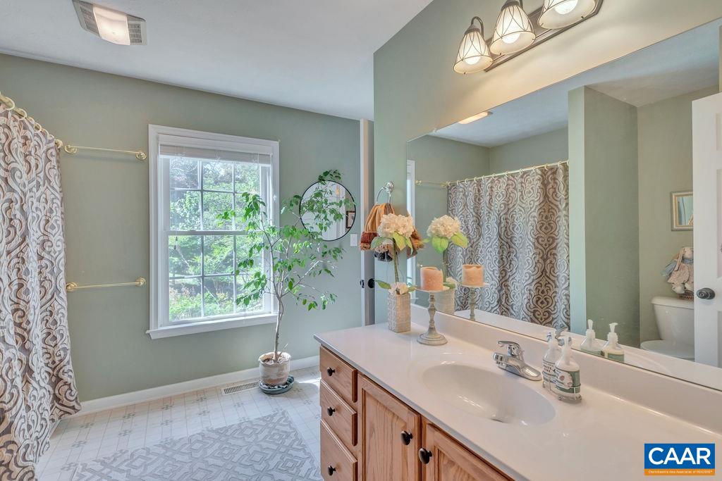 205 Old Stony Ridge Road Afton, VA 22920 - Photo 30 of 70 a bathroom with a granite countertop sink a toilet and a mirror
