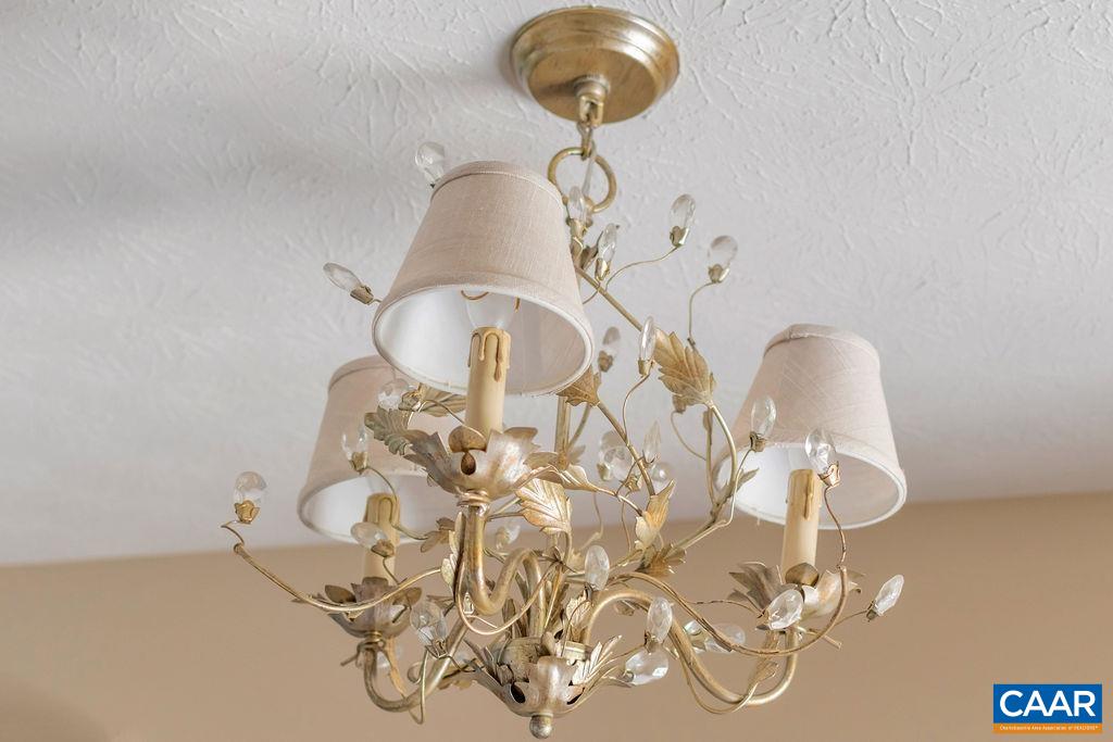 205 Old Stony Ridge Road Afton, VA 22920 - Photo 44 of 70 a room with a chandelier fan and wooden floor