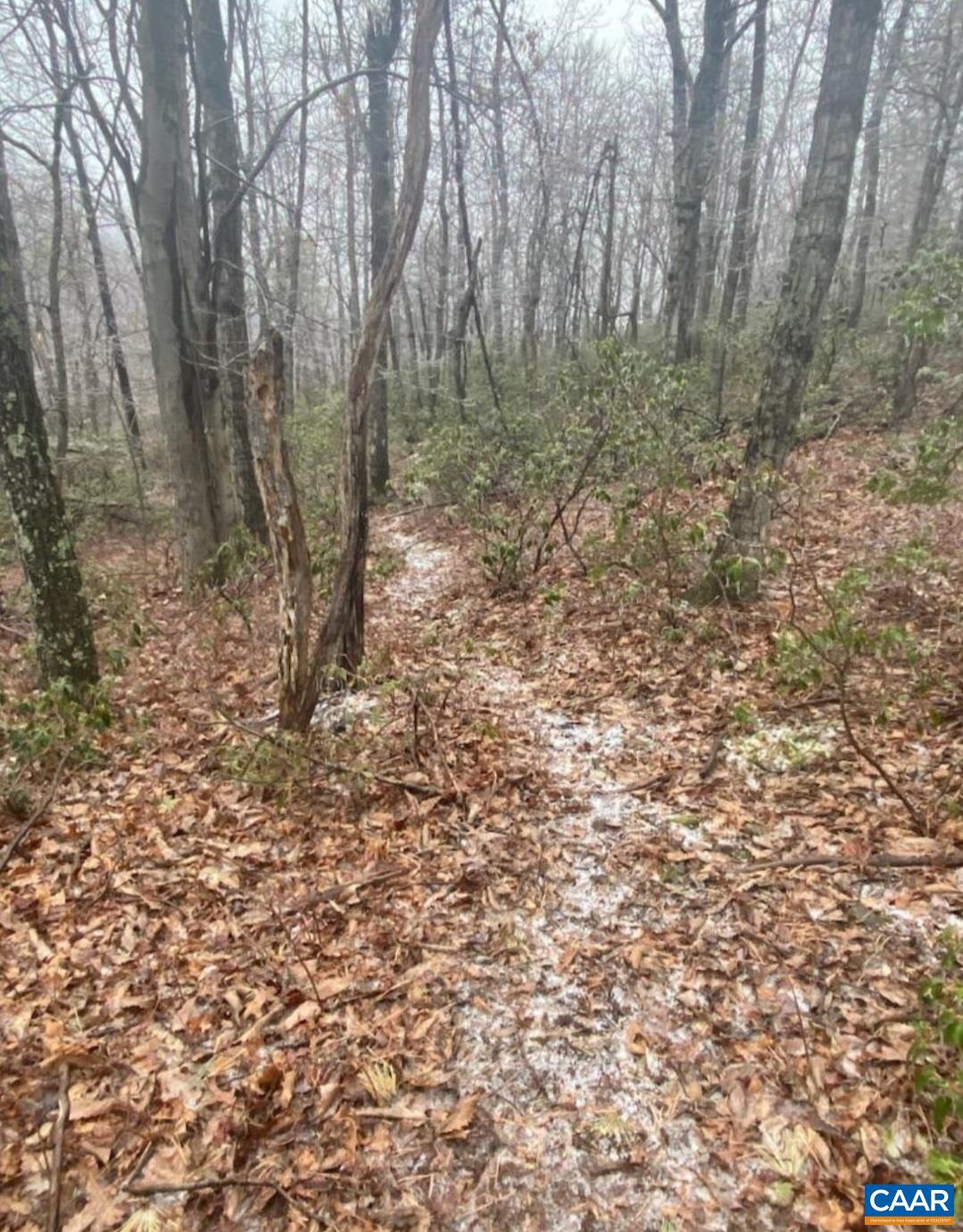 205 Old Stony Ridge Road Afton, VA 22920 - Photo 70 of 70 a view of a forest with trees