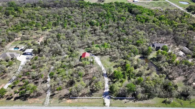 a view of a yard with yellow