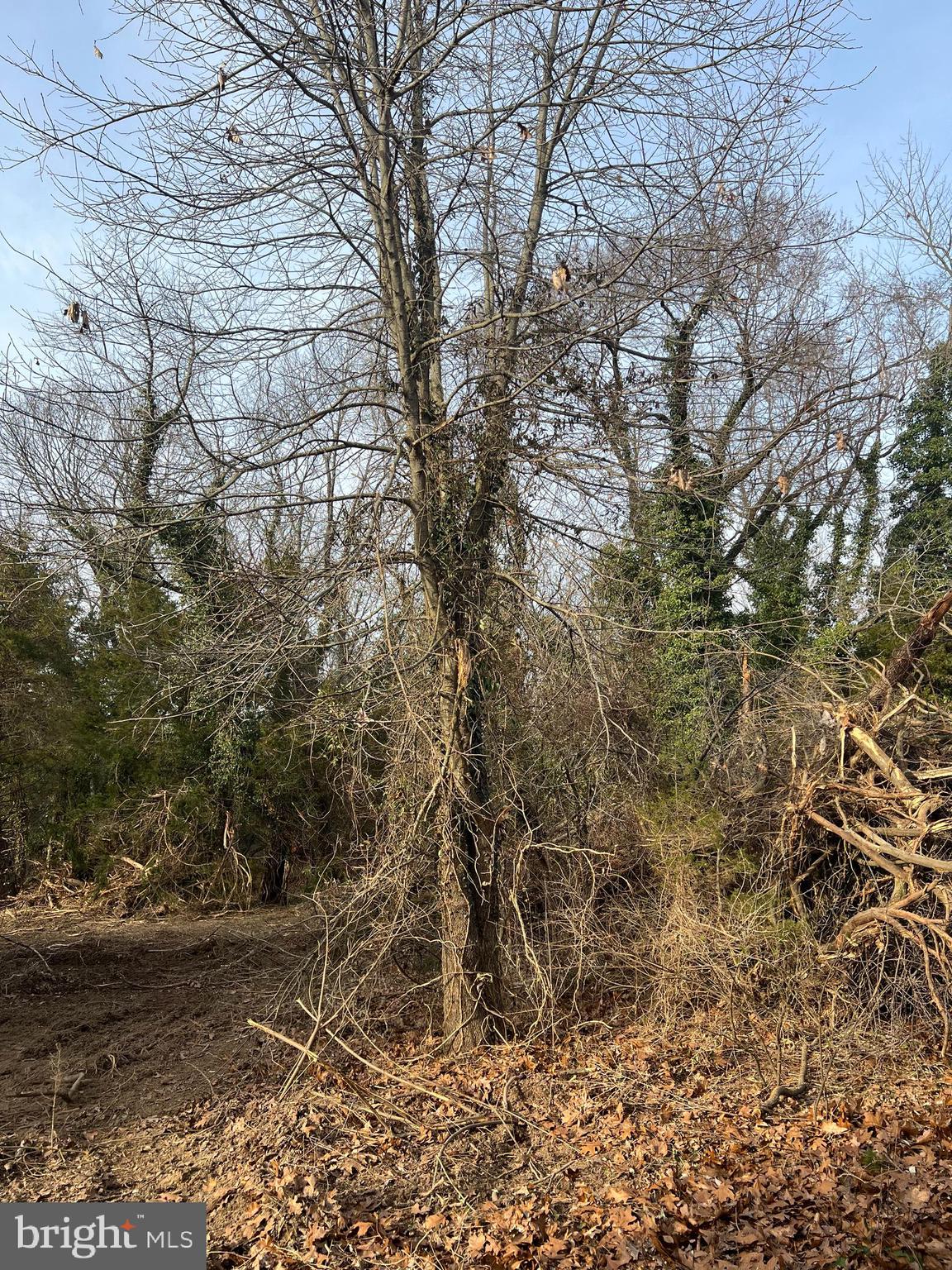 Greenwich Road Bridgeton, NJ 08302 - Photo 1 of 3