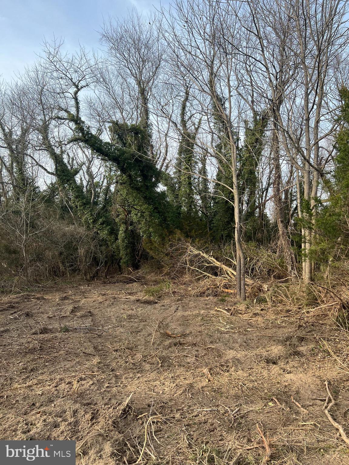 Greenwich Road Bridgeton, NJ 08302 - Photo 2 of 3