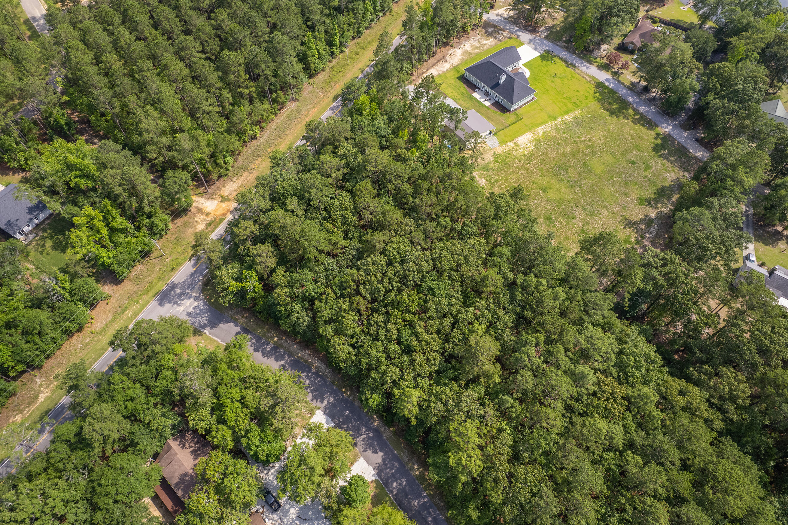 0 Breezewood Court Elloree, SC 29047 - Photo 11 of 28
