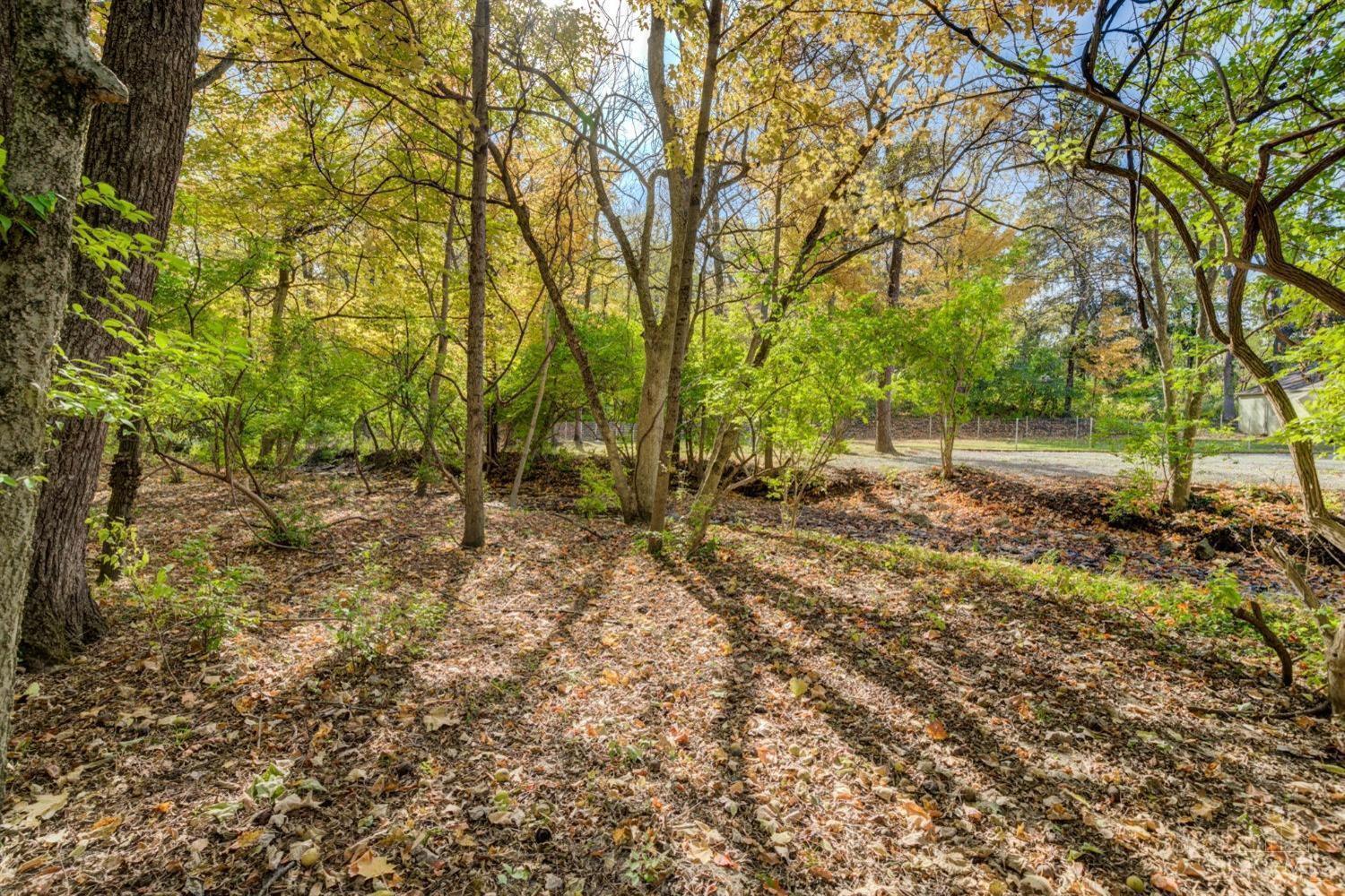 7867 Camargo Road Madeira, OH 45243 - Photo 4 of 12