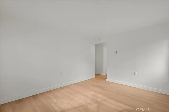 a bathroom with a shower and a plant