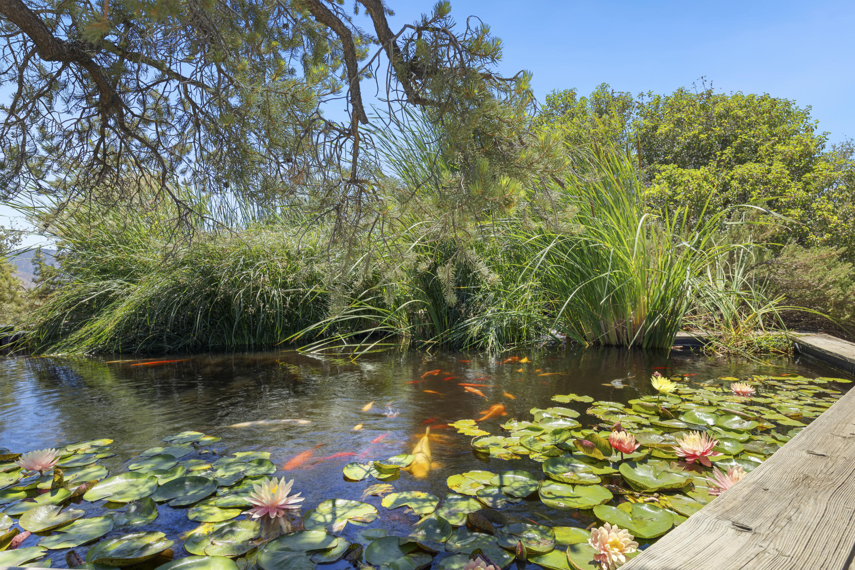 60425 Santa Rosa Road Mountain Center, CA 92561 - Photo 59 of 67 a view of a lake with a house