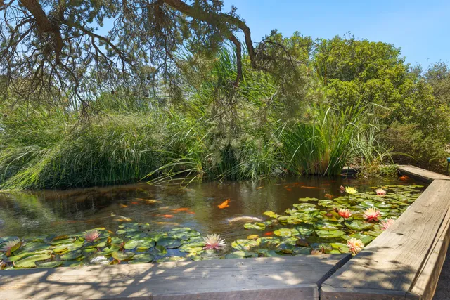 $869,000 | 60425 Santa Rosa Road, Mountain Center, CA 92561