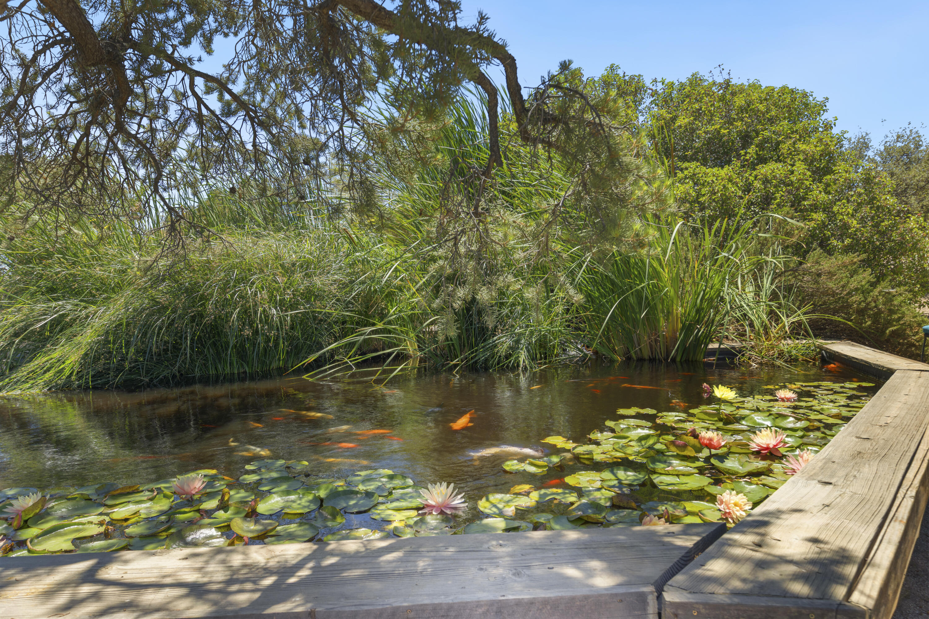 60425 Santa Rosa Road Mountain Center, CA 92561 - Photo 60 of 67 a view of a lake with a house in the background