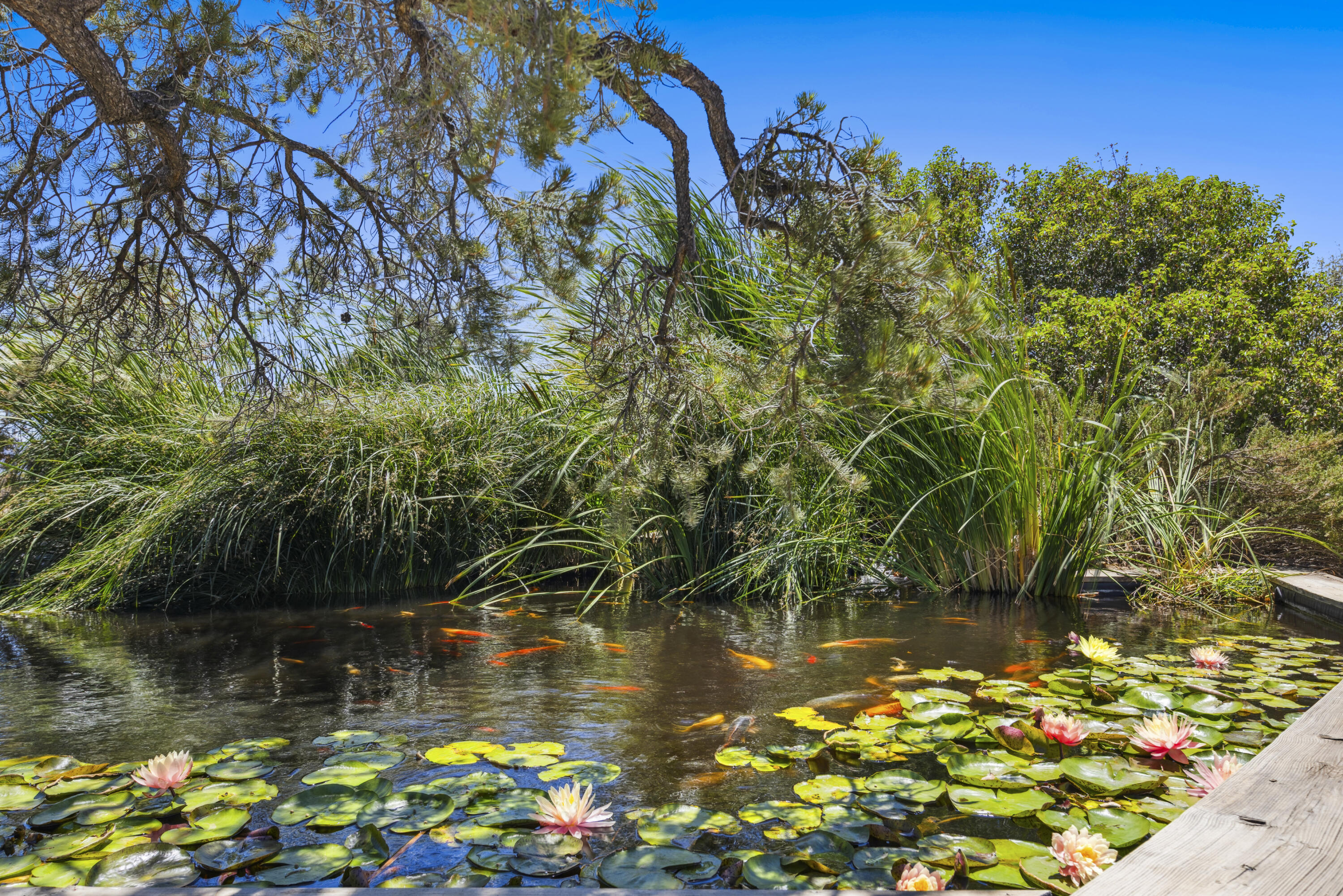 60425 Santa Rosa Road Mountain Center, CA 92561 - Photo 62 of 67 a view of a lake with a house in the background
