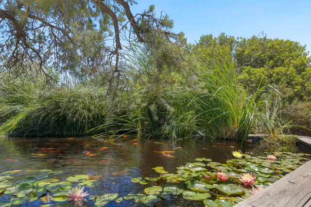 $869,000 | 60425 Santa Rosa Road, Mountain Center, CA 92561