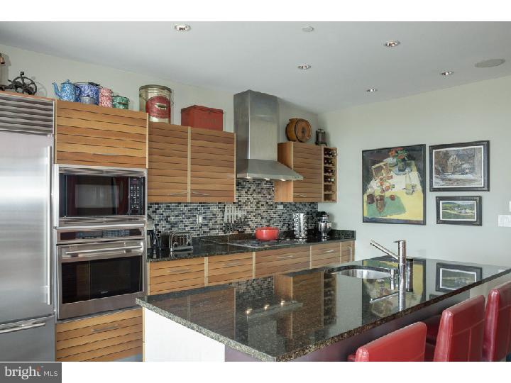 1101 Washington Avenue, Unit V1 Philadelphia, PA 19147 - Photo 6 of 25
