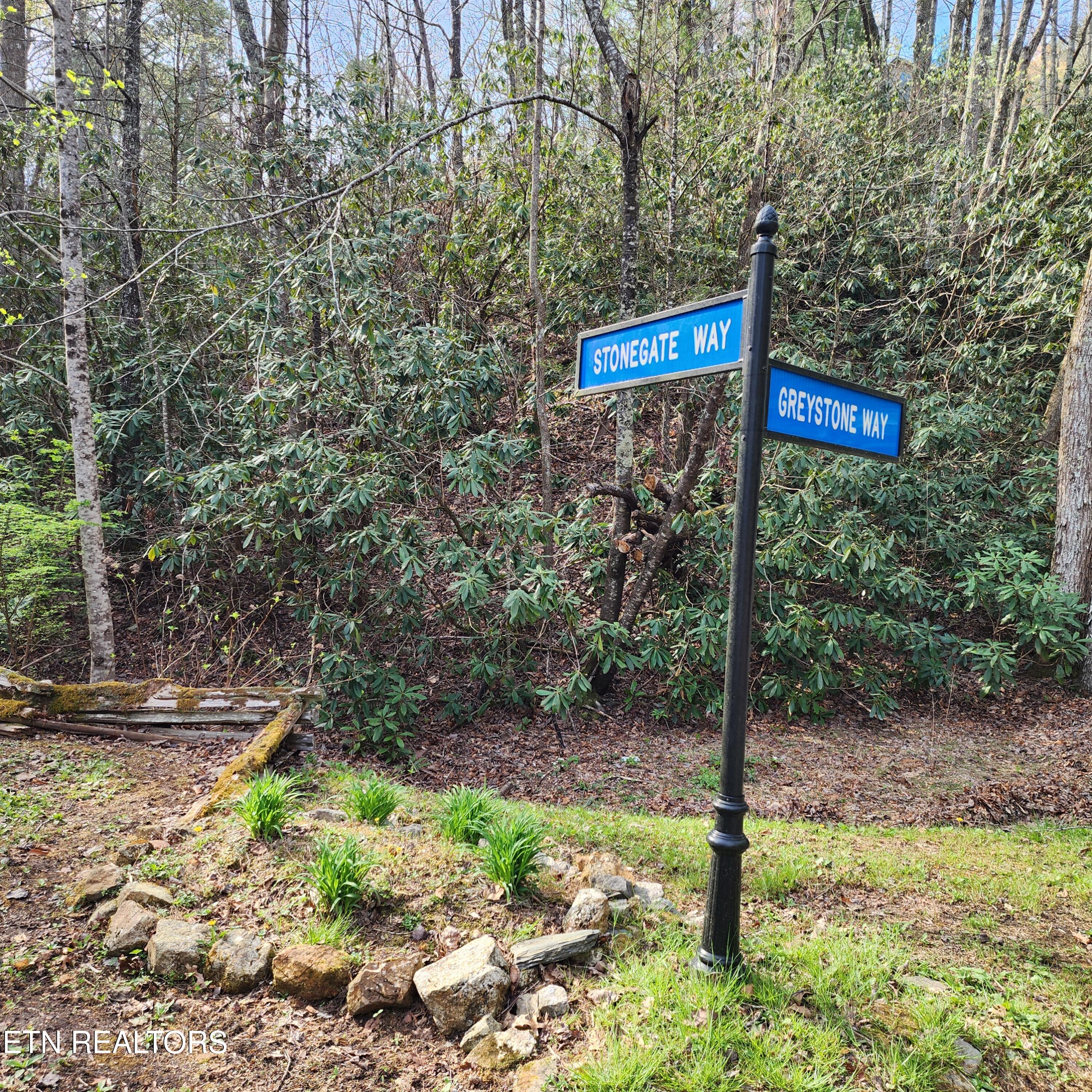 116 Stonegate Way Townsend, TN 37882 - Photo 2 of 13 20250404_100052