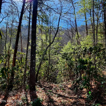 $64,900 | 116 Stonegate Way, Townsend, TN 37882