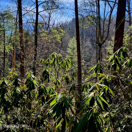 $64,900 | 116 Stonegate Way, Townsend, TN 37882