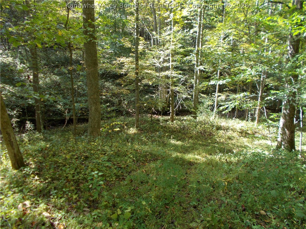 0 Mud Lick Road Liberty, WV 25124 - Photo 10 of 30 Gallery Image 10