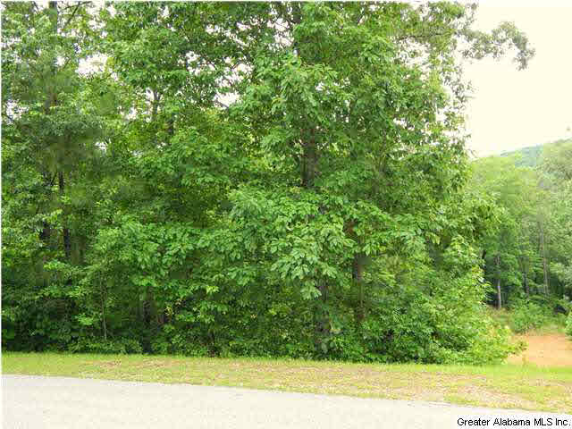 High Hampton Drive, Unit 80A Pelham, AL 35124 - Photo 3 of 3