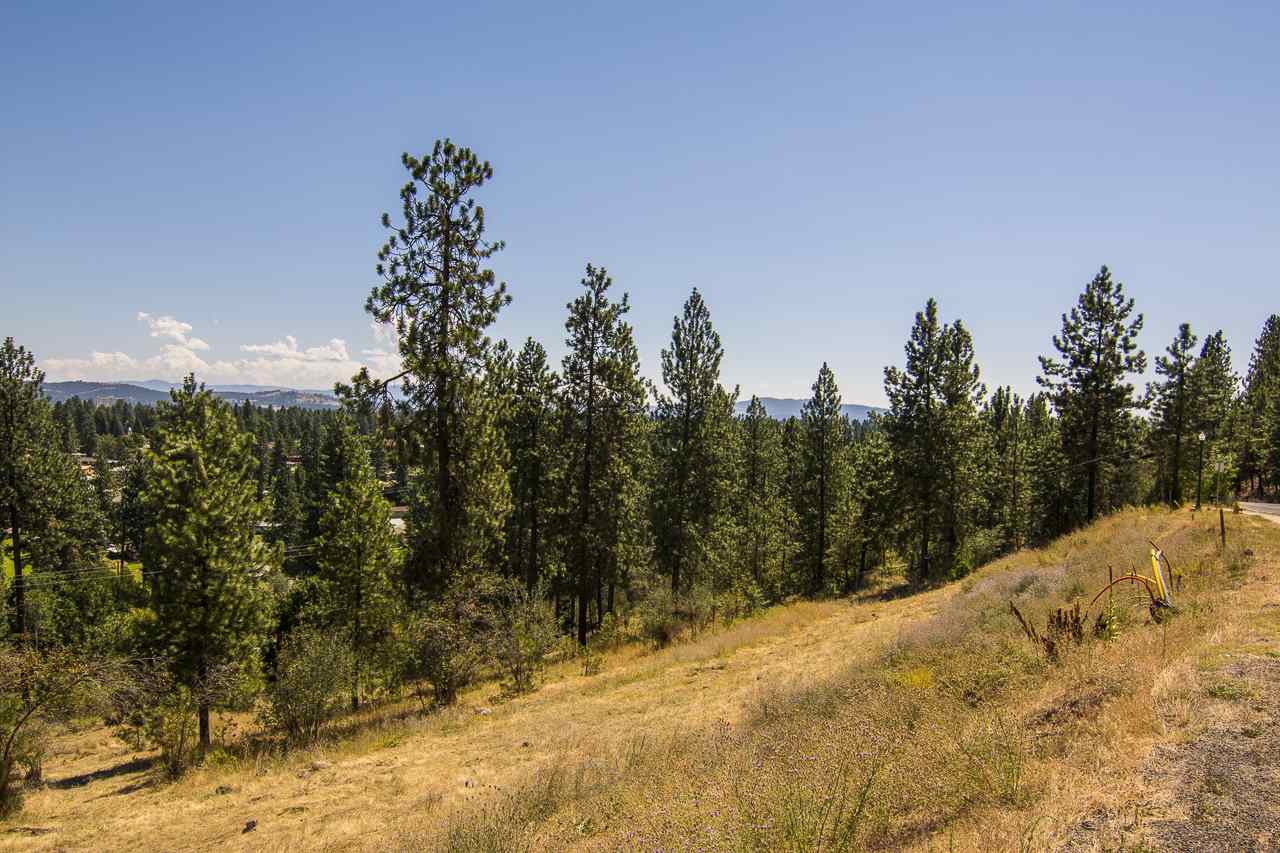 7514 North Cedar Road Spokane, WA 99208 - Photo 16 of 20 Gallery Image 16