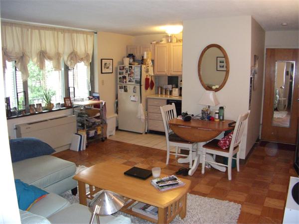 125 Trapelo Road, Unit 10 Belmont, MA 02478 - Photo 3 of 15 Gallery Image 3