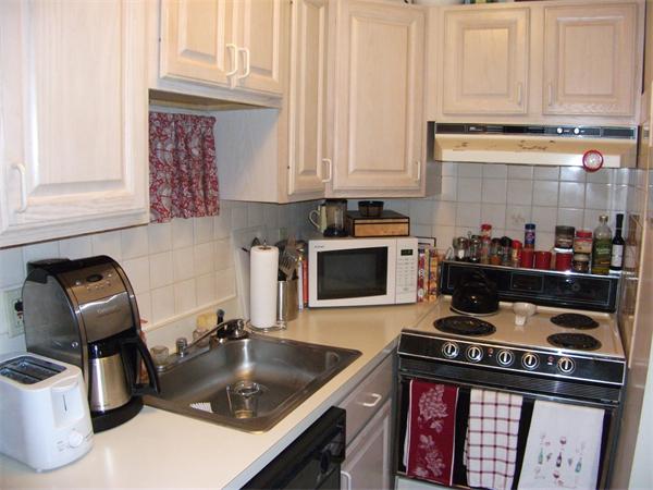 125 Trapelo Road, Unit 10 Belmont, MA 02478 - Photo 4 of 15 Gallery Image 4