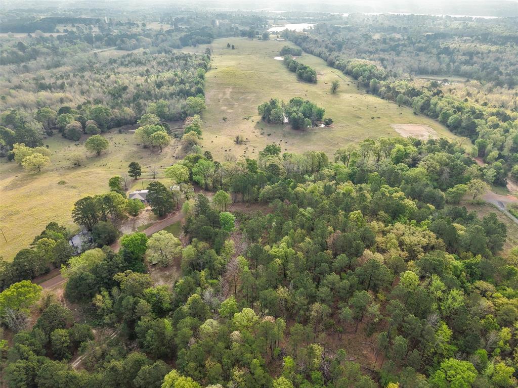 571 County Road Daingerfield, TX 75638 - Photo 3 of 34 a view of a city