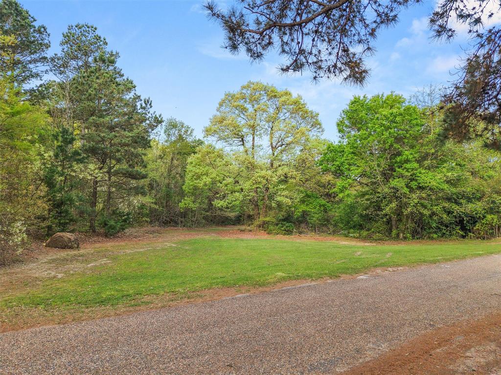 571 County Road Daingerfield, TX 75638 - Photo 9 of 34 a view of a yard with a house in the background