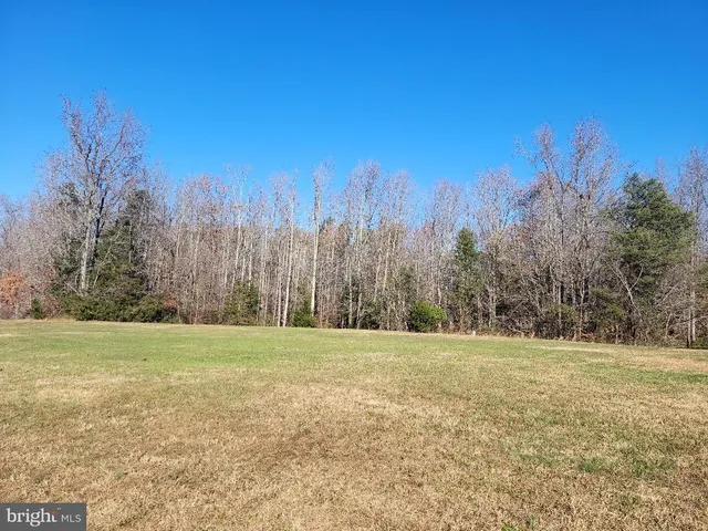 a view of a field with trees in the background