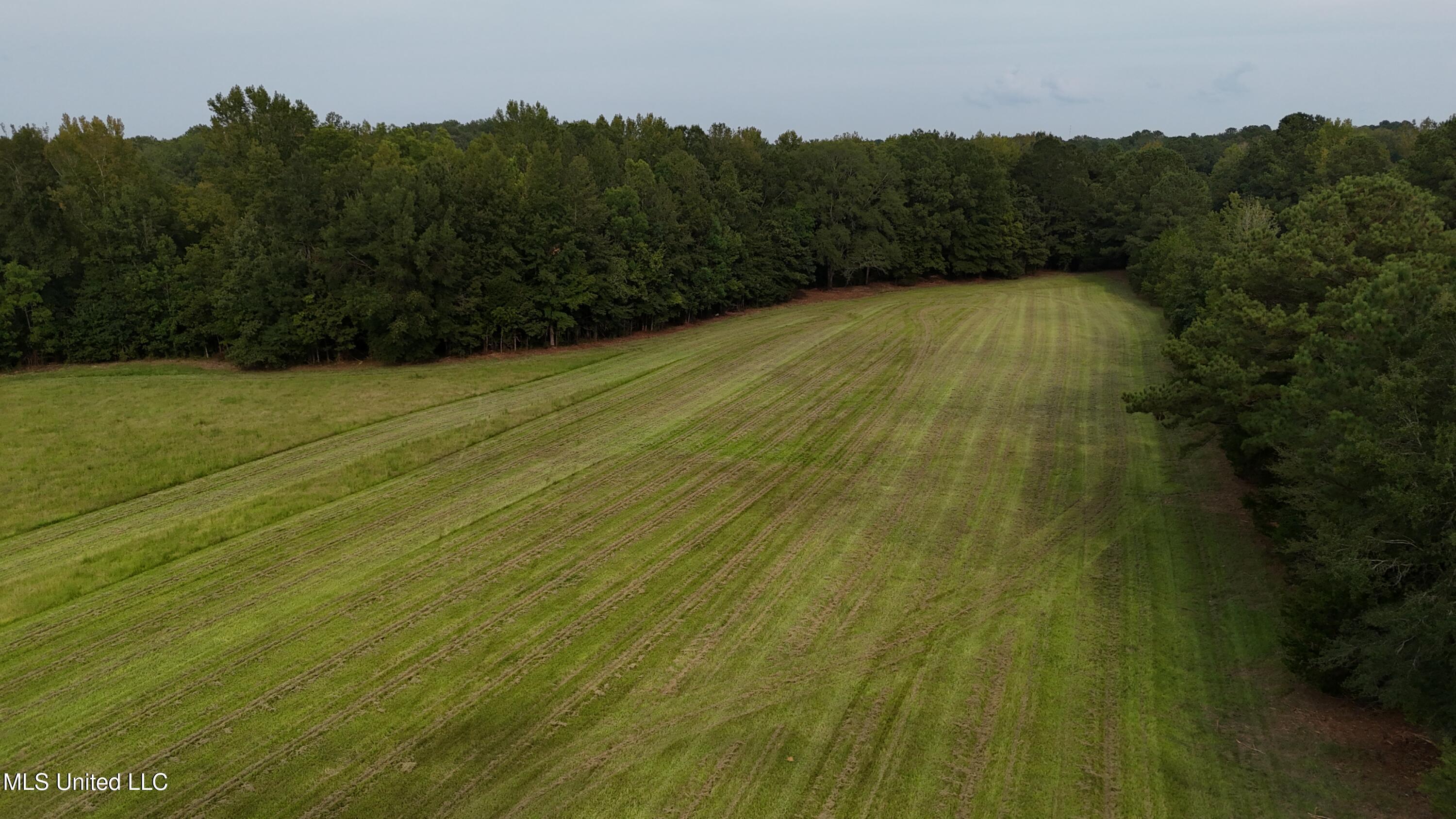 3 Sulphur Springs Road Canton, MS 39046 - Photo 14 of 16 dji_fly_20250905_171118_0347_17573668065