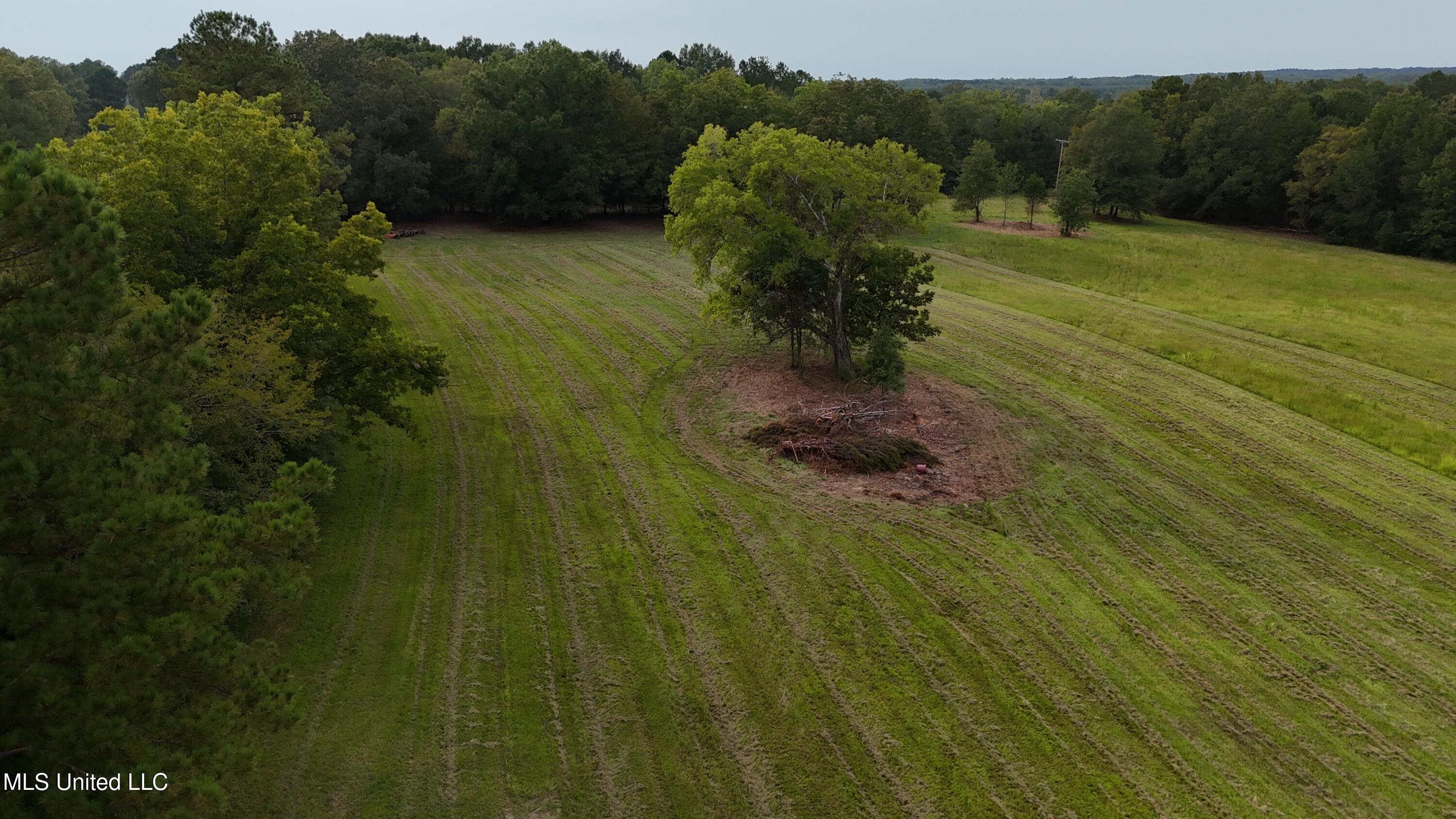 3 Sulphur Springs Road Canton, MS 39046 - Photo 15 of 16 dji_fly_20250905_171124_0348_17573668054