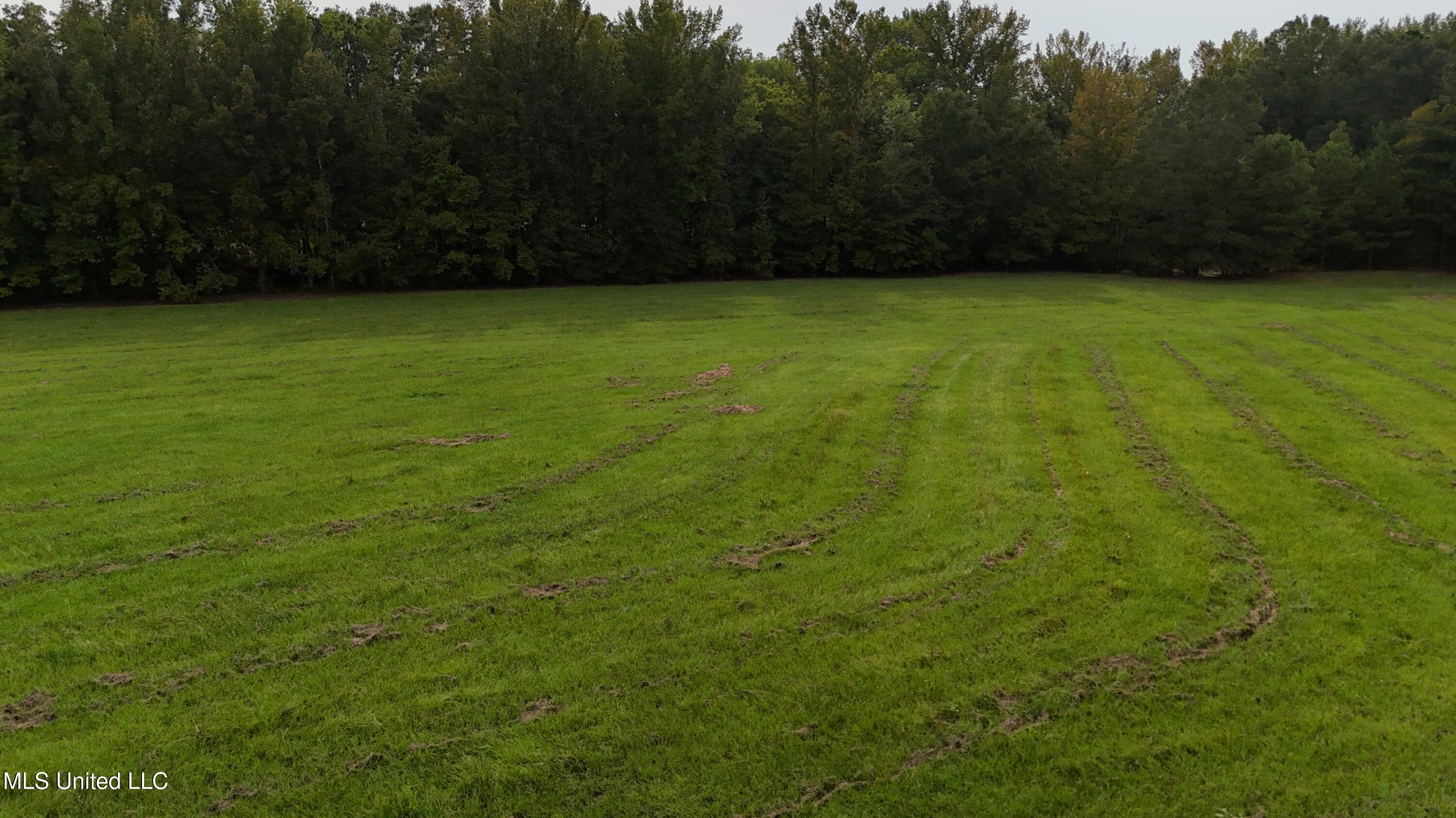 3 Sulphur Springs Road Canton, MS 39046 - Photo 5 of 16 dji_fly_20250905_165242_0332_17573668197