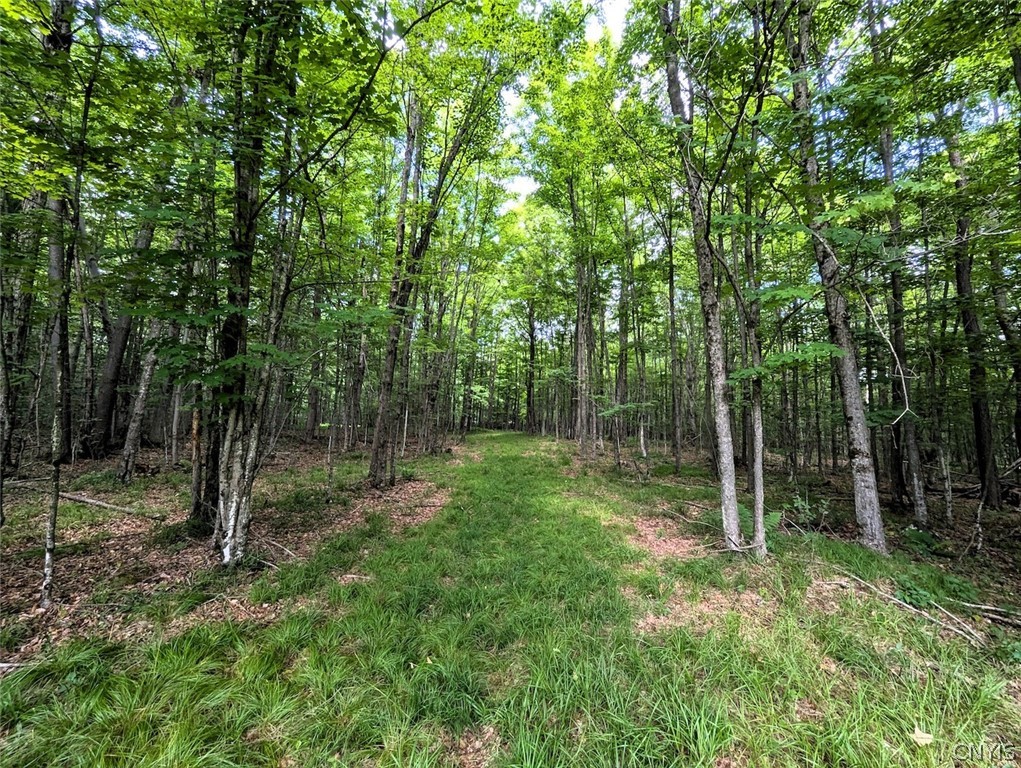 537 Maple Road West Union, NY 14877 - Photo 46 of 50