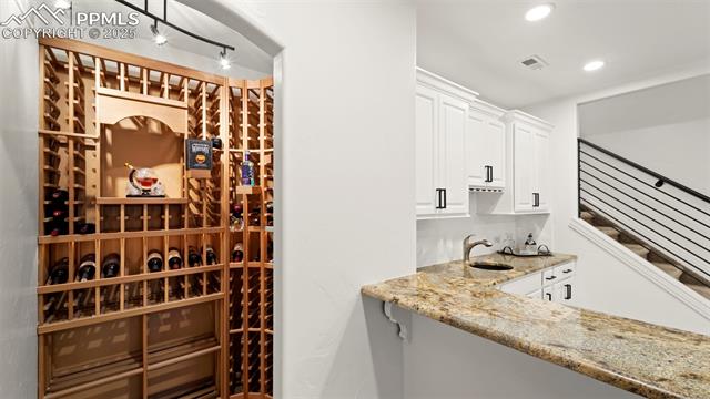 13625 Random Ridge View Colorado Springs, CO 80921 - Photo 28 of 50 Wine cellar with a sink and recessed lighting
