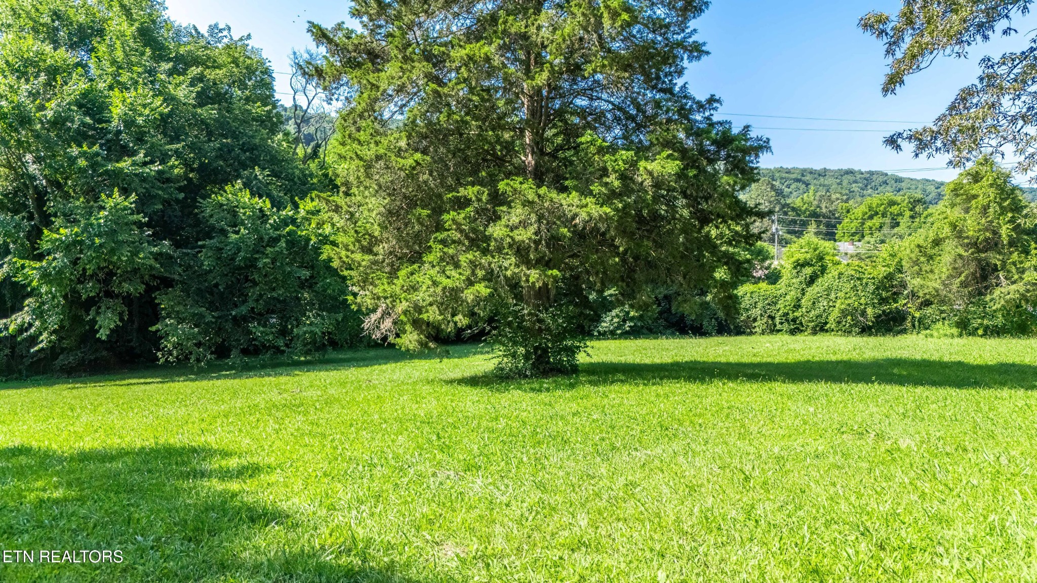 6515 McFall Road Knoxville, TN 37918 - Photo 29 of 32 Gallery Image 29