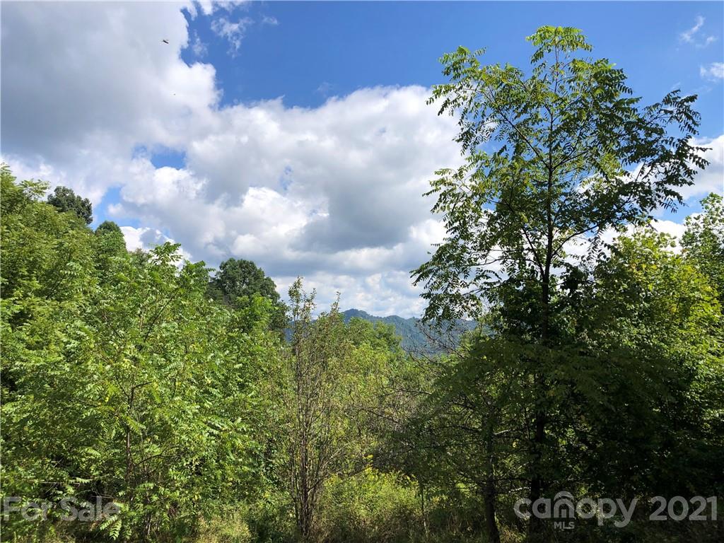 0 Smokey Cove Road Canton, NC 28716 - Photo 14 of 20 a view of a green field with lots of bushes