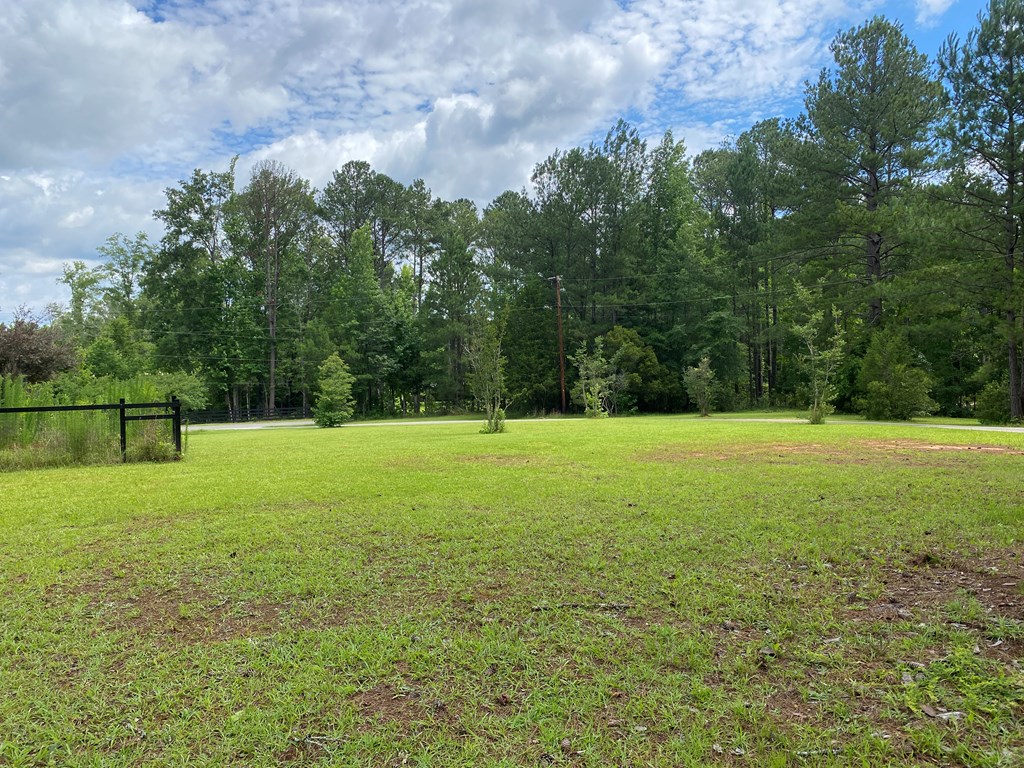 414 Airpark Road Waverly Hall, GA 31831 - Photo 4 of 38