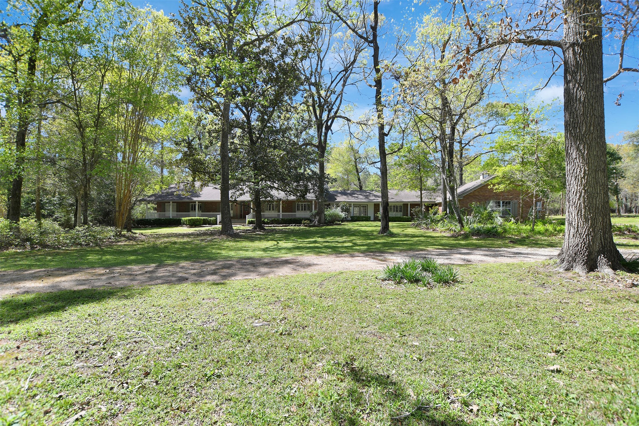 a view of a park with large trees