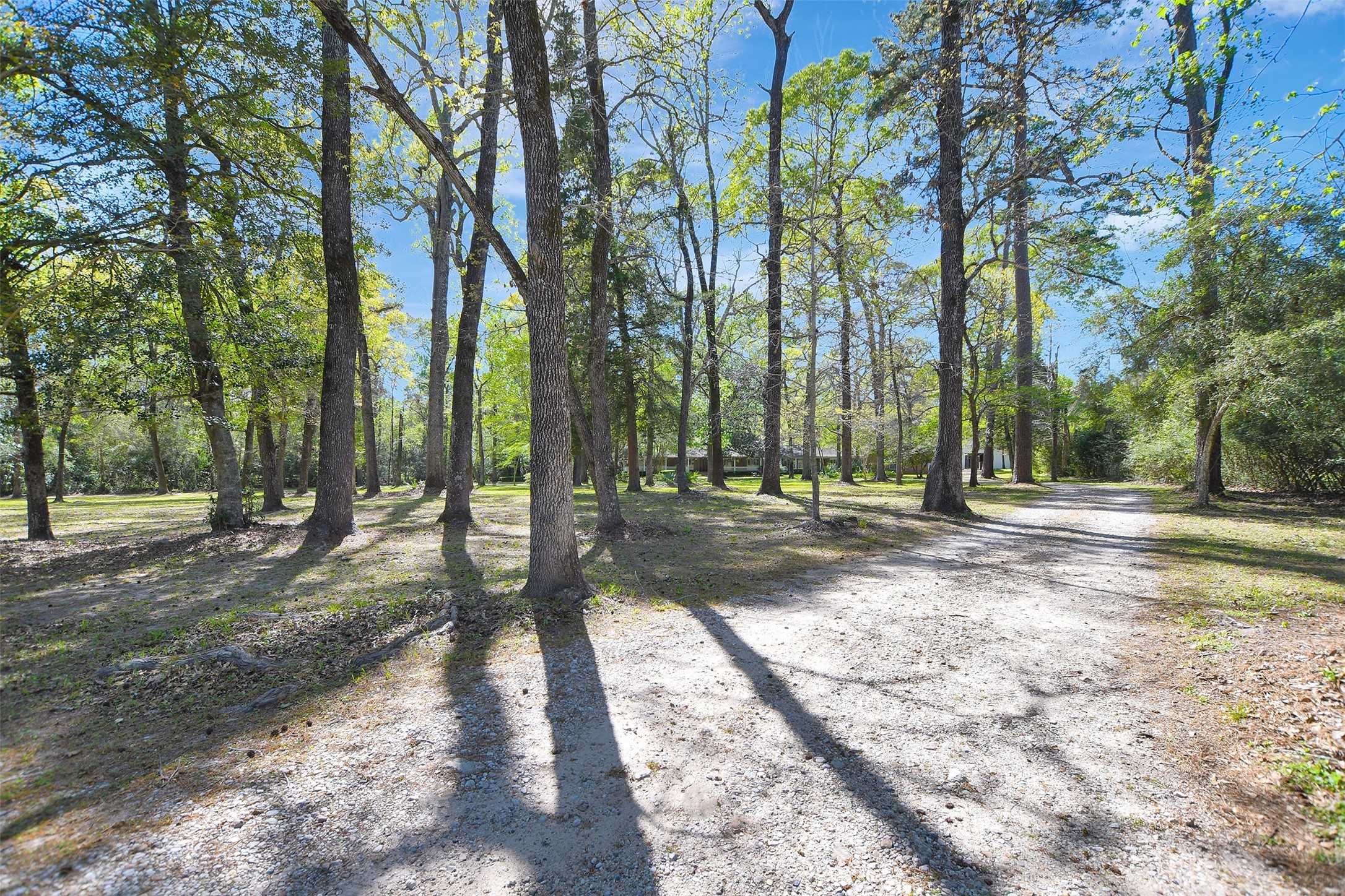 16002 Koenig Lane Conroe, TX 77384 - Photo 2 of 48 a view of a park with trees in the background