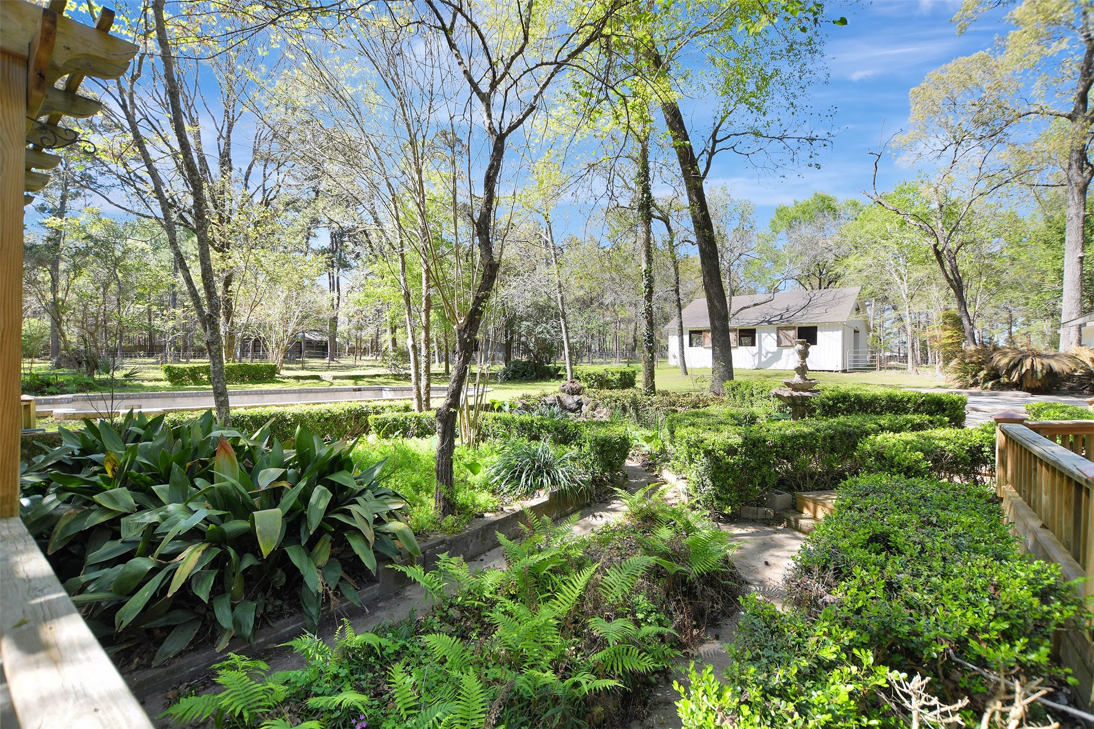 16002 Koenig Lane Conroe, TX 77384 - Photo 36 of 48 a view of outdoor space with garden
