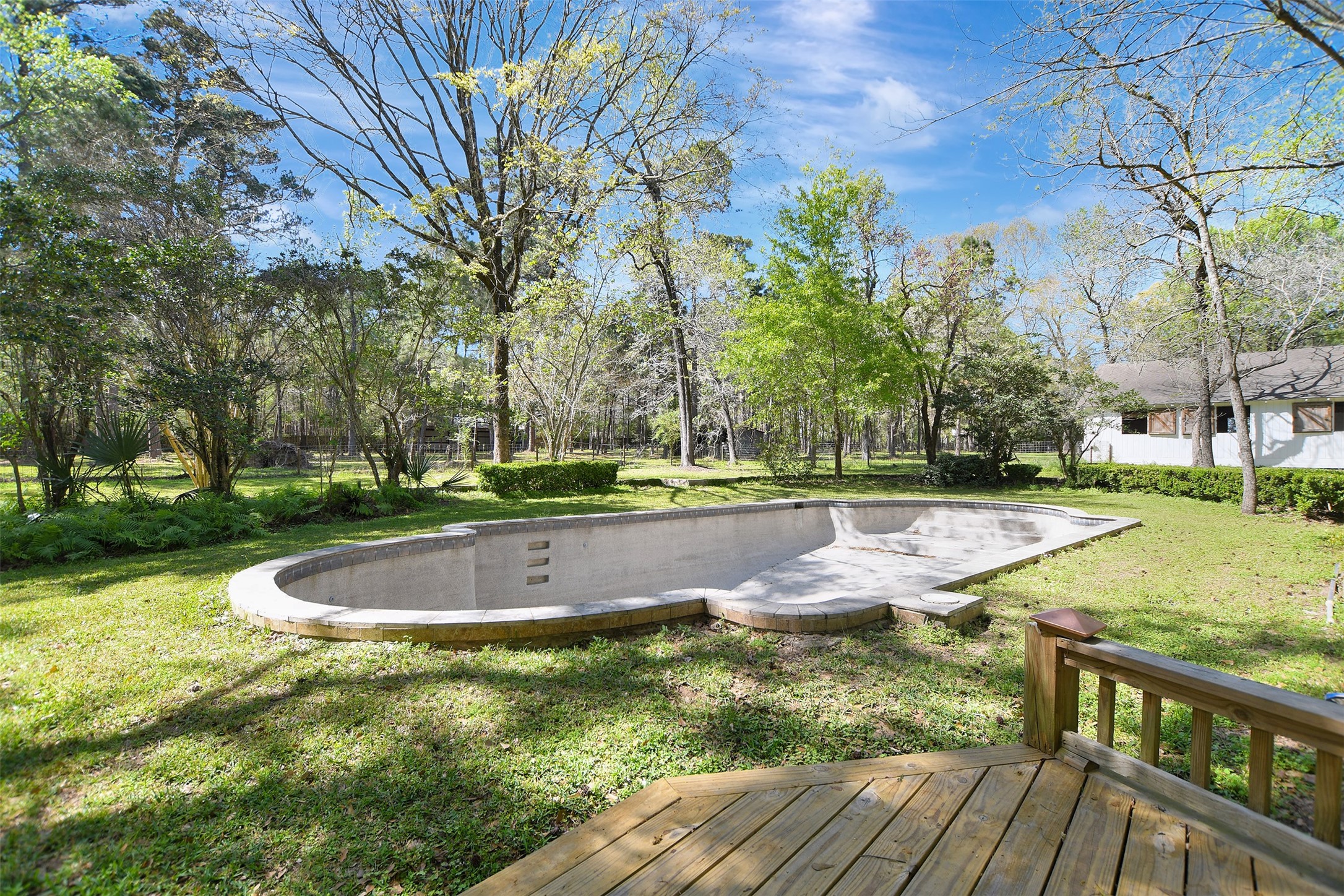16002 Koenig Lane Conroe, TX 77384 - Photo 37 of 48 a view of a yard with large trees